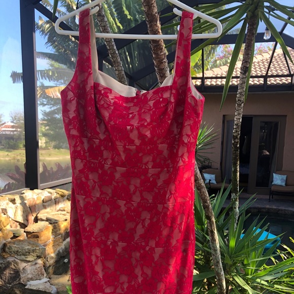 Red lace short Sangria dress - Picture 2 of 3